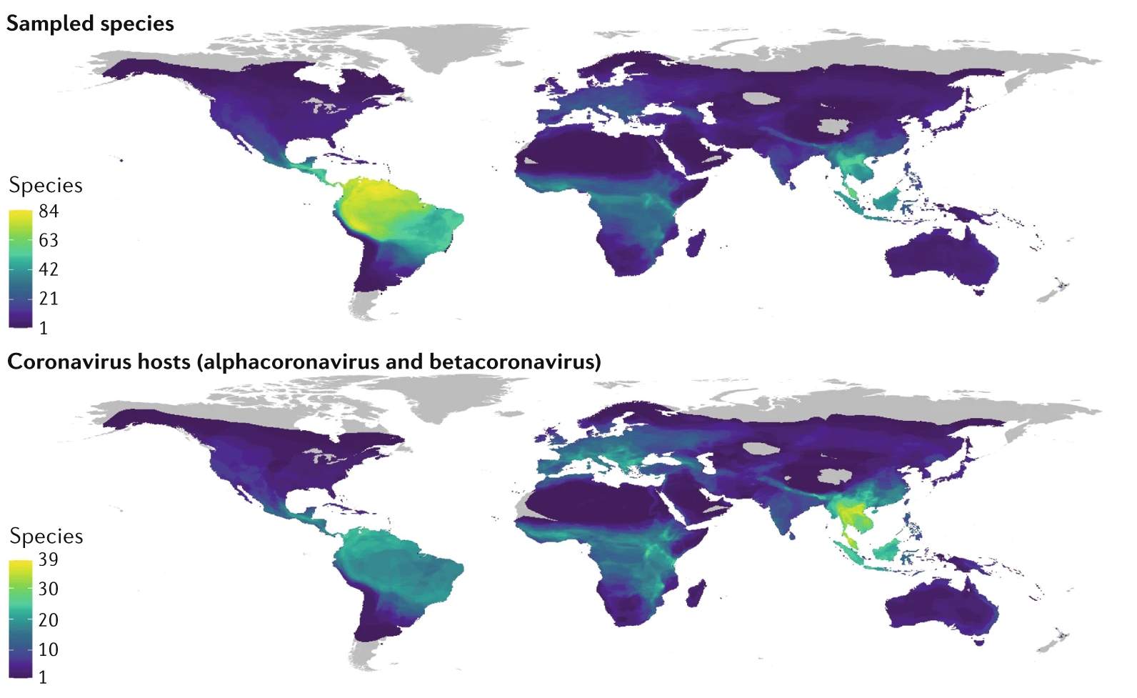Coronavirus spillover pathways figure