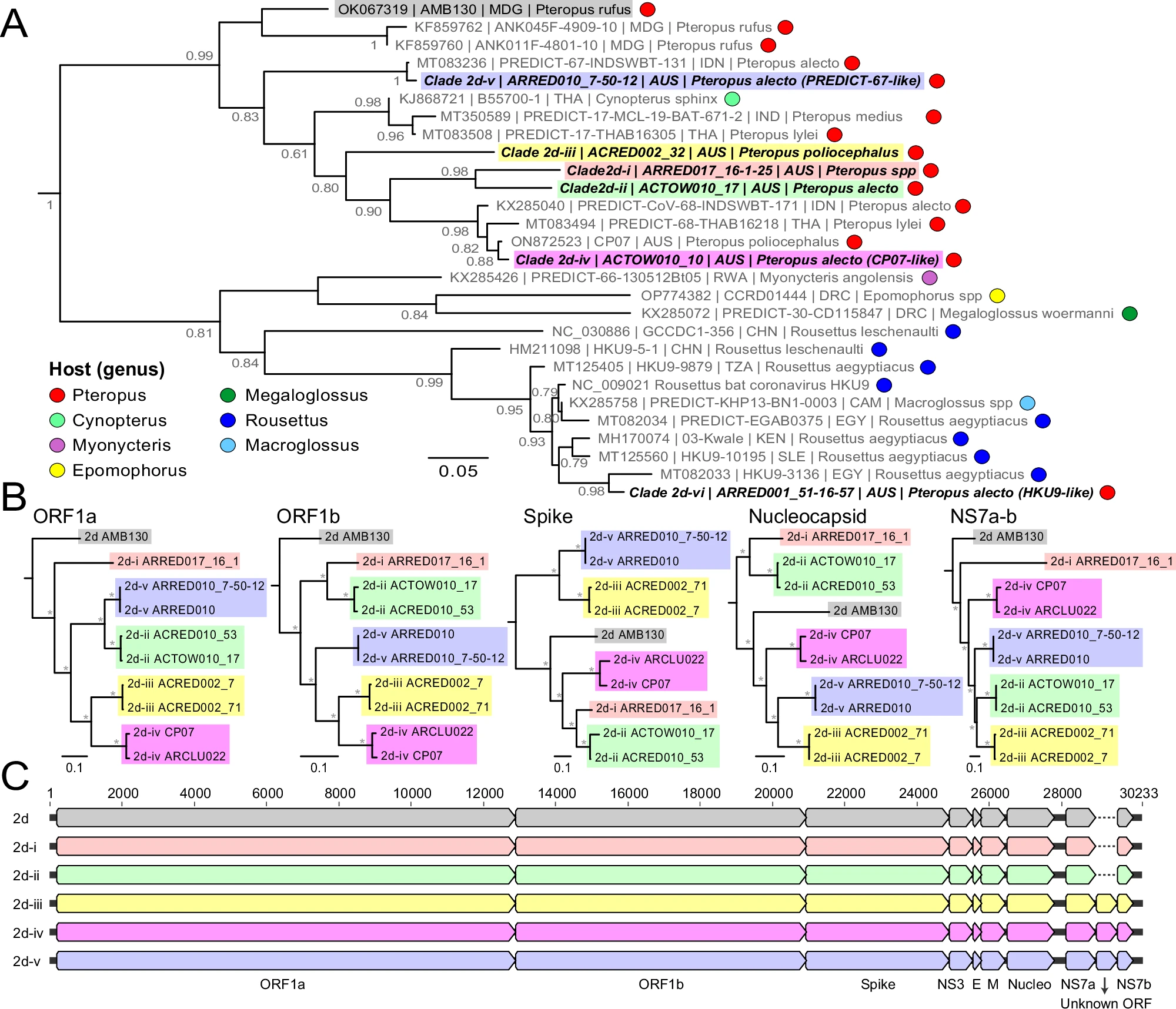 Nipah virus surveillance map