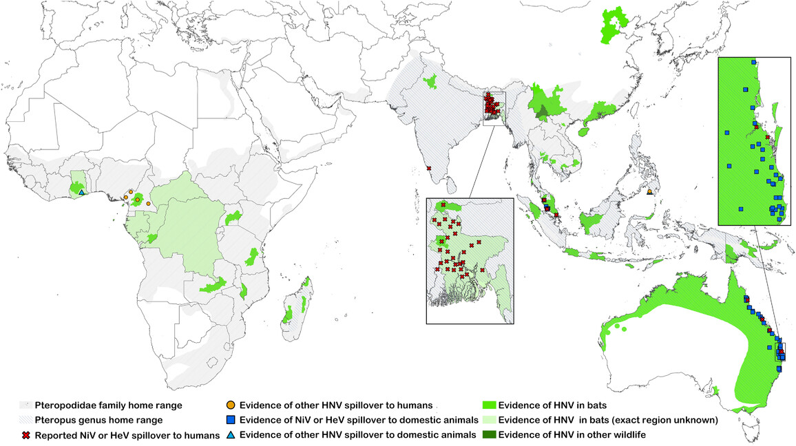 Nipah virus surveillance map