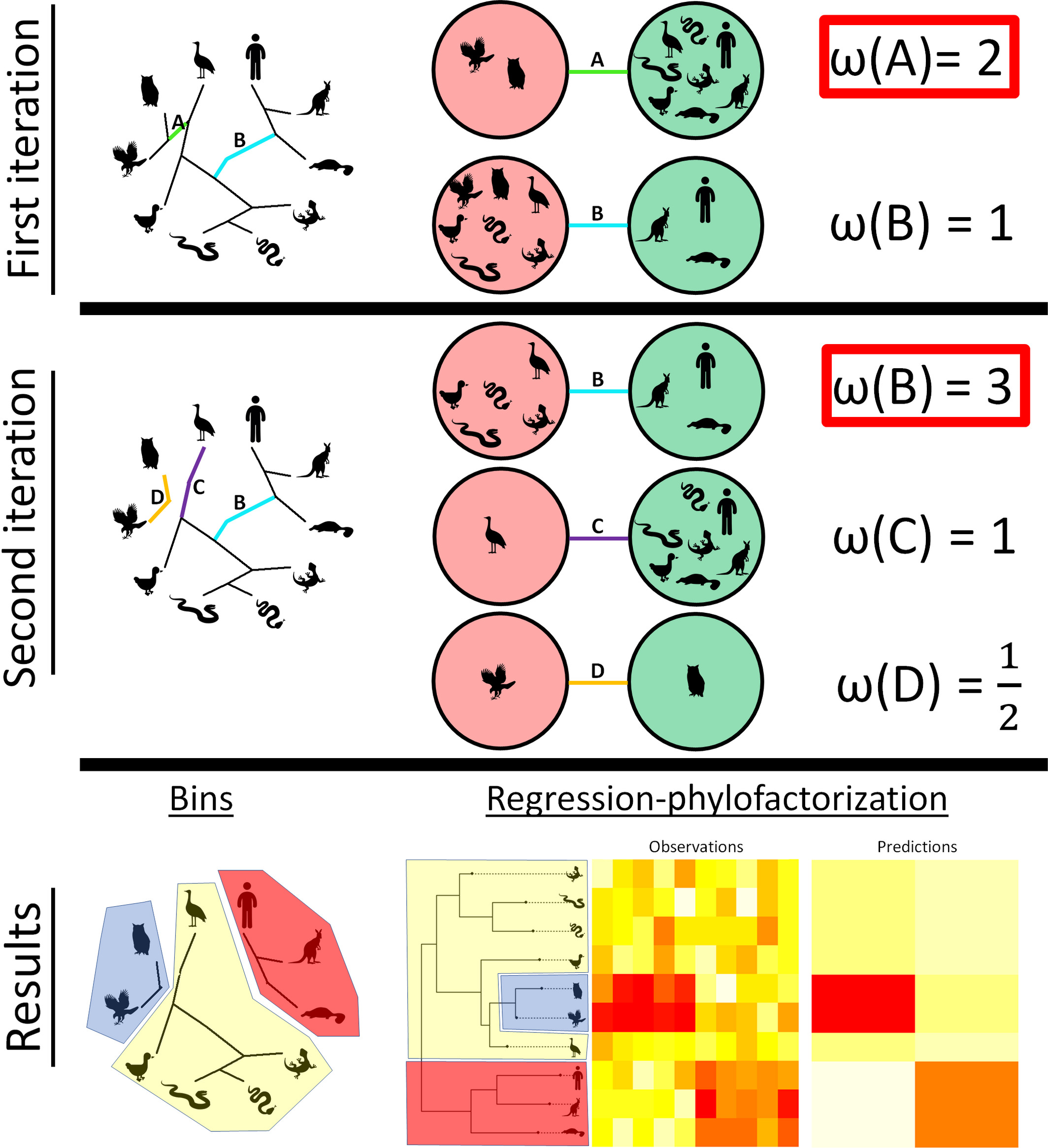 Nipah virus surveillance map