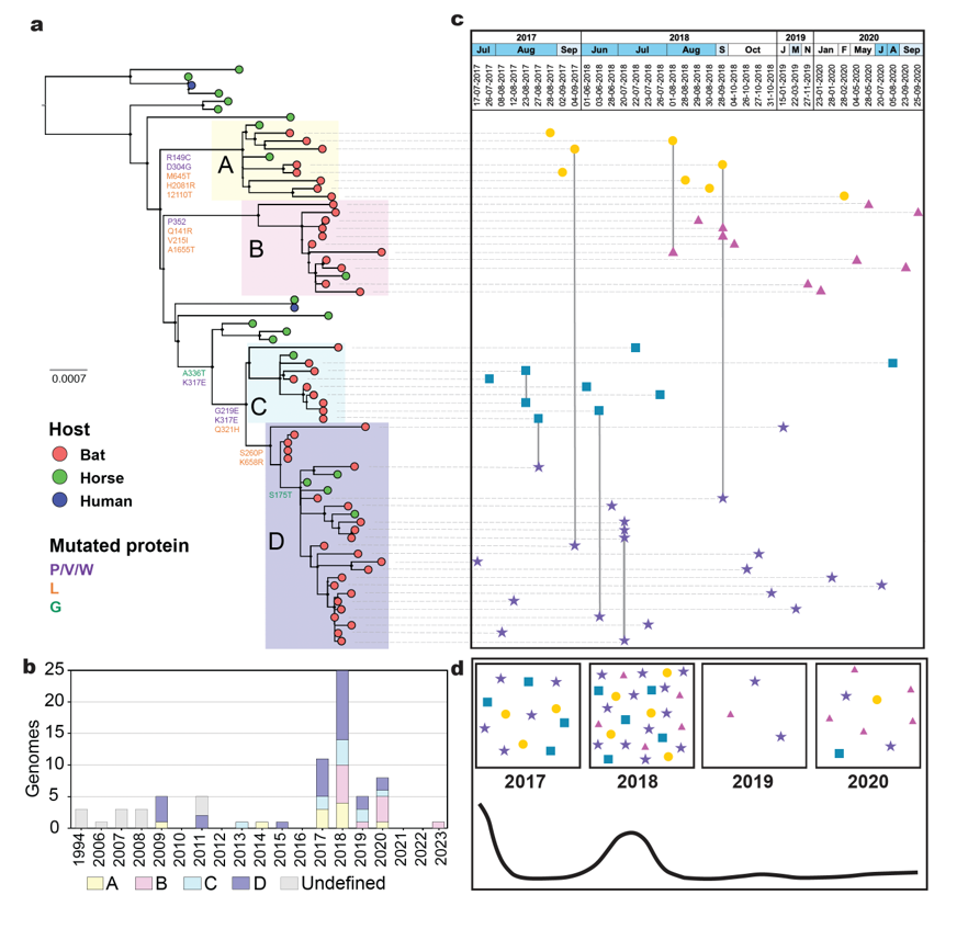 Nipah virus surveillance map